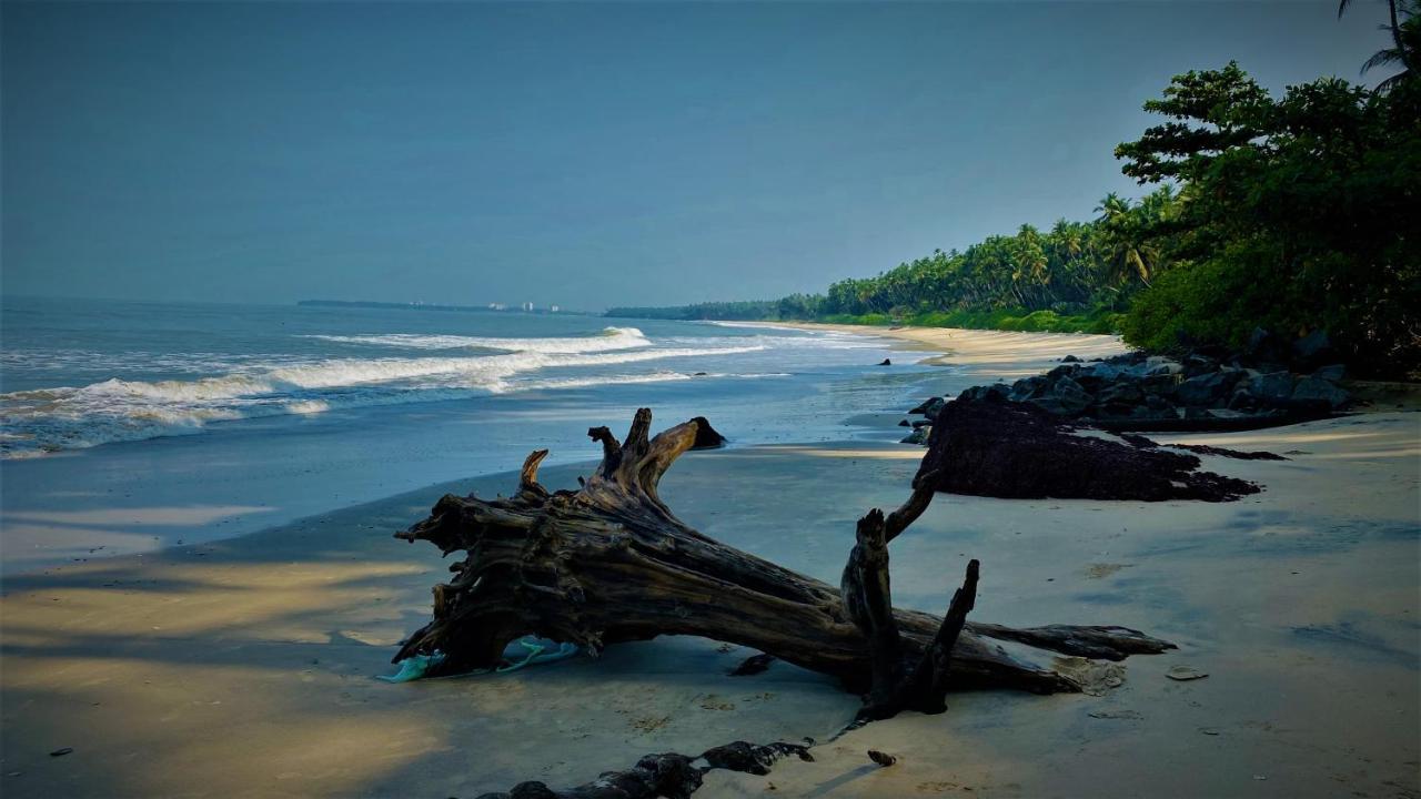 White Shell Beach House Каннур Екстер'єр фото
