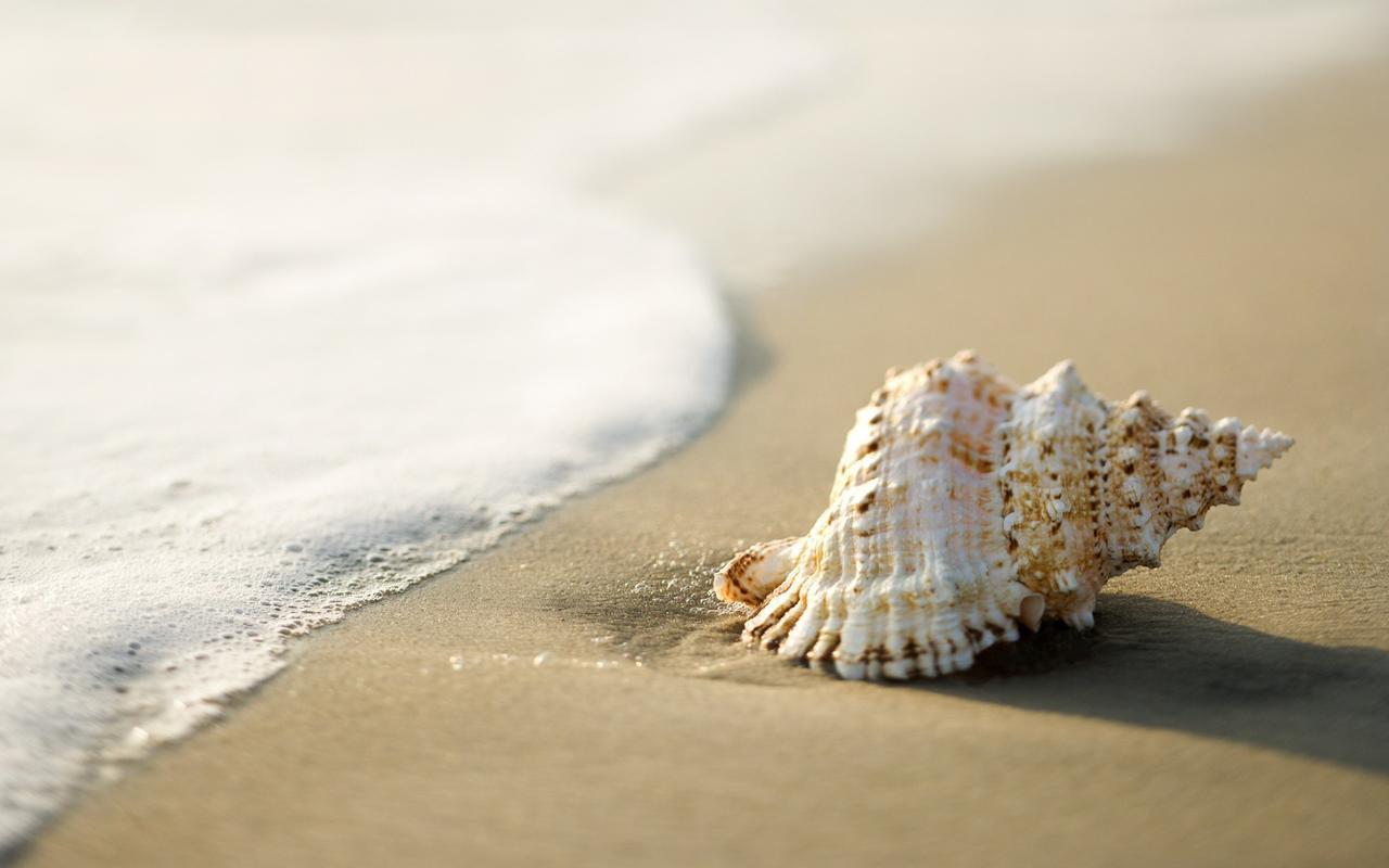 White Shell Beach House Каннур Екстер'єр фото
